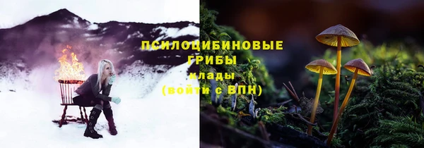 спайс Надым