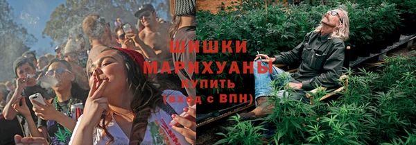 шишки Михайловск