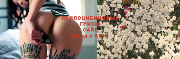 ECSTASY Михайлов