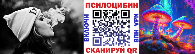 закладки Нефтегорск Псилоцибиновые грибы мицелий