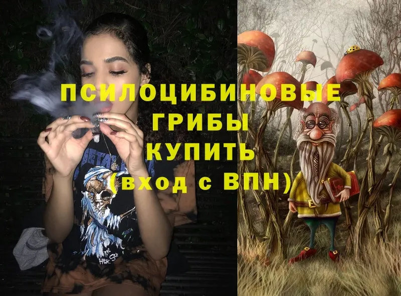 Псилоцибиновые грибы MAGIC MUSHROOMS  Нефтегорск 